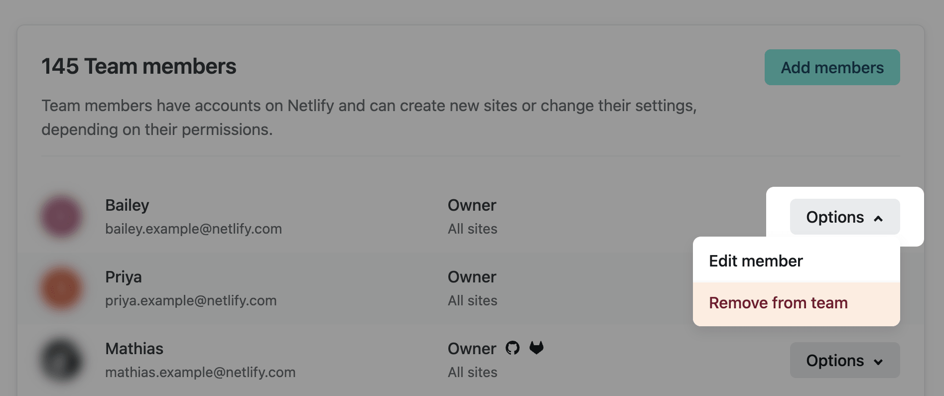 Owners can use the "Options" menu to remove or edit a member.