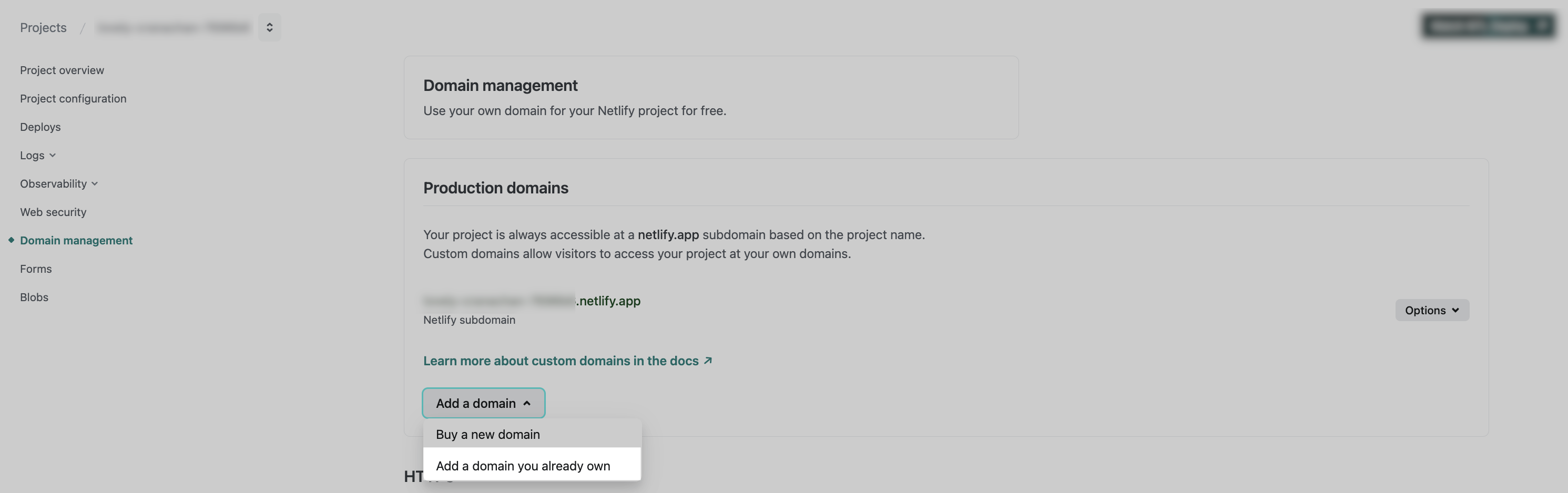 Screenshot of Netlify domain management interface showing 'Add a domain' button with options to 'Buy a new domain' or 'Add a domain you already own'