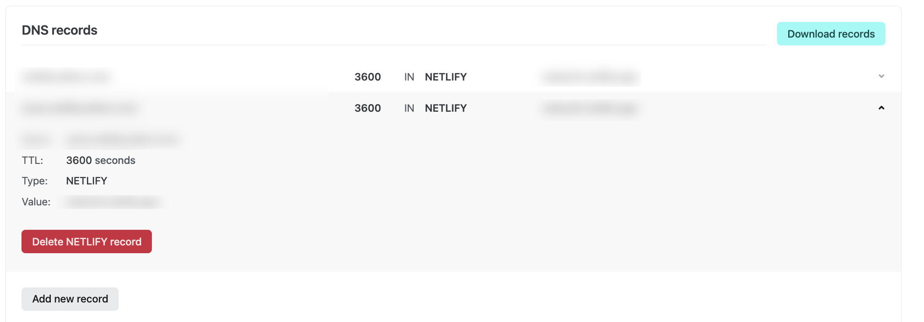 DNS panel with expanded record details