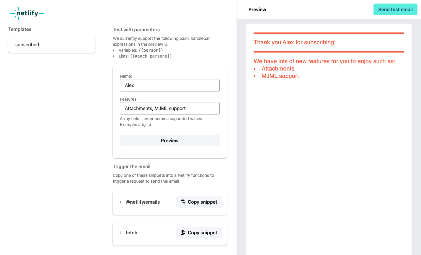preview of email template with generated fetch function.