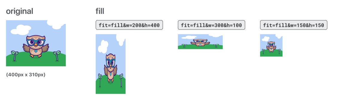Examples. Original image is 400 by 310. Images are distorted to fill new dimensions. Fill width 200 and height 400 stretches image vertically. Fill width 300 and height 100 squishes image vertically. Fill width 150 and height 150 slightly stretches image vertically.
