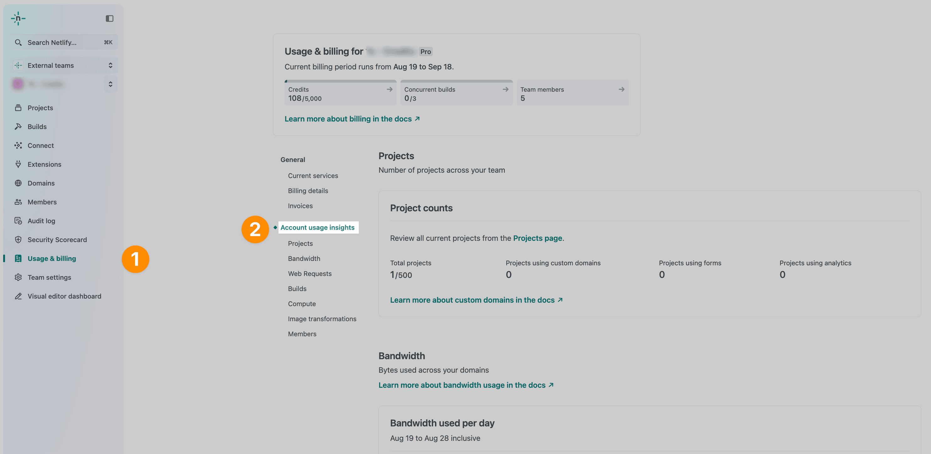 Usage and billing marked with 1 on left nav and Account usage insights marked with 2 on right side of team dashboard
